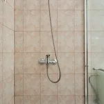 Hansal * Saplunara