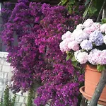Hansal Apartman