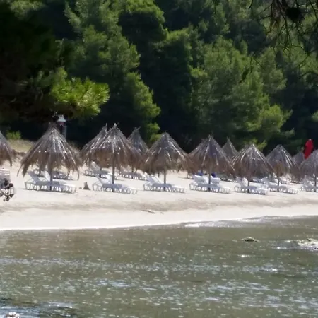 Hansal