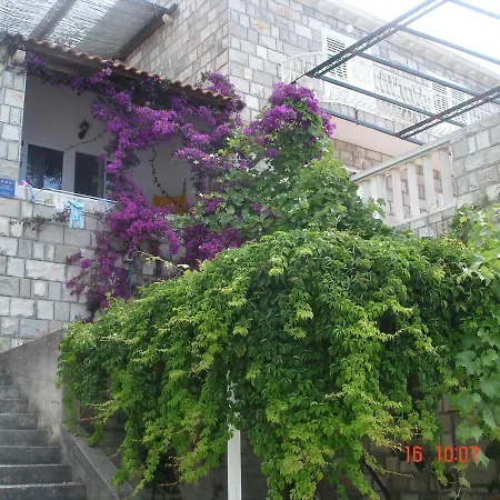 Apartment Hansal