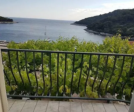 Hansal Saplunara