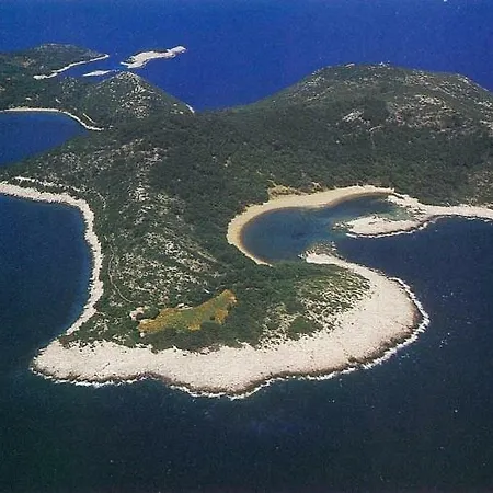 Hansal Διαμέρισμα Saplunara