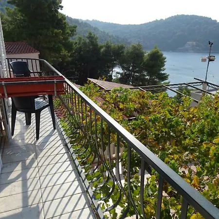 Apartment Hansal Saplunara