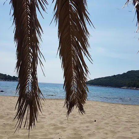 Apartment Hansal Saplunara