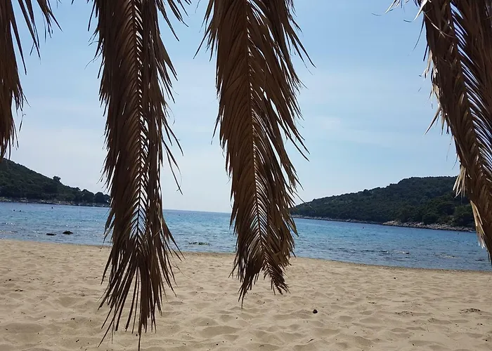 Apartment Hansal Saplunara